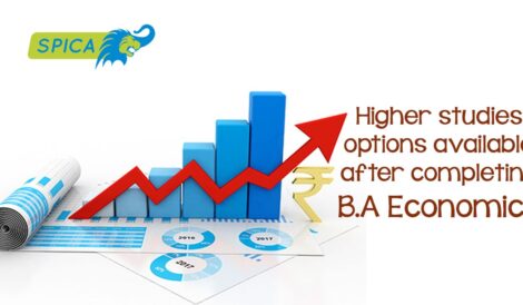 BA Economics degree - Higher studies