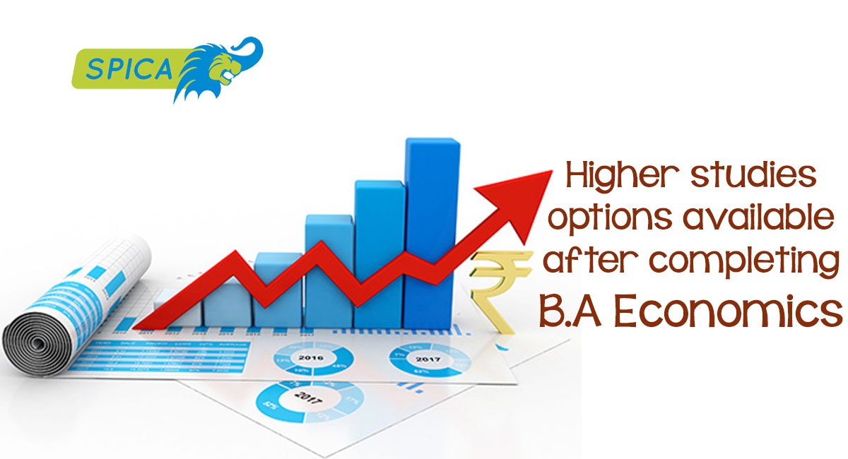 BA Economics degree - Higher studies
