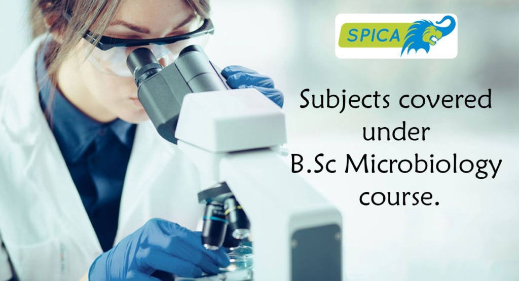 Subjects under B.Sc Microbiology course.
