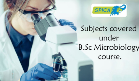 Subjects under B.Sc Microbiology course.