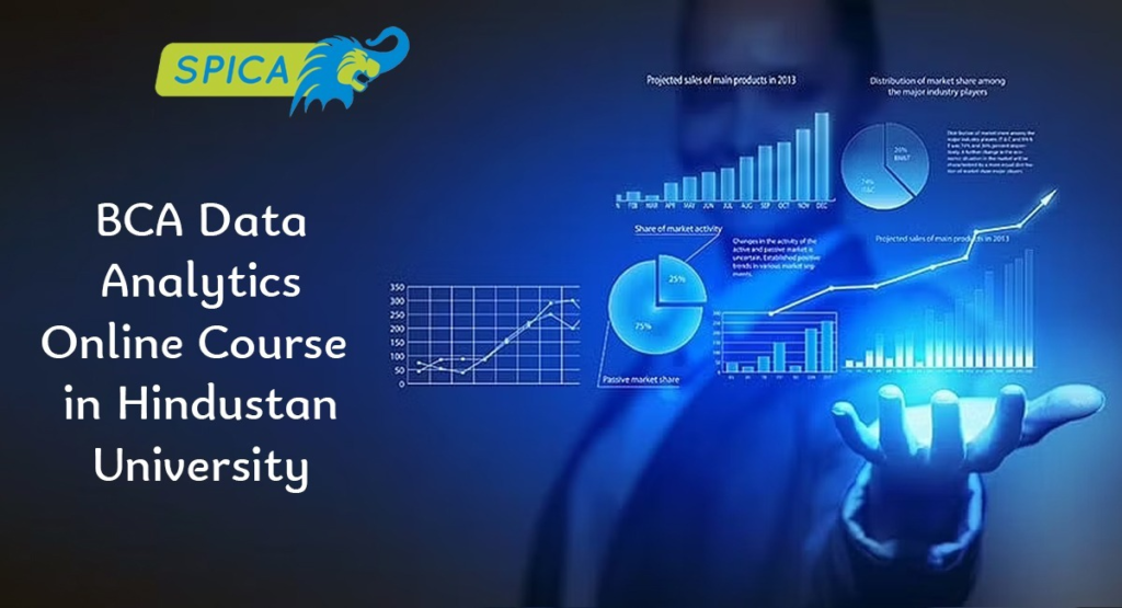 BCA Data Analytics Online Course in Hindustan University.
