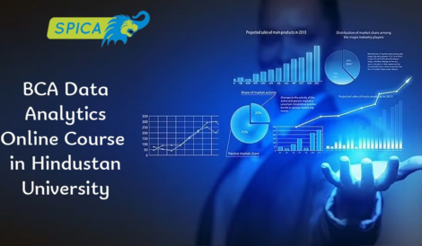 BCA Data Analytics Online Course in Hindustan University.