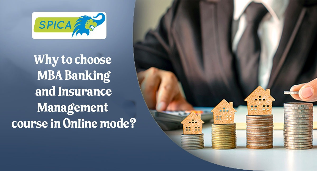 MBA Banking and Insurance Management in online.