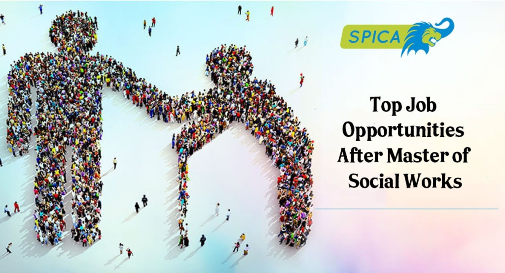Job offers in Master of Social Work.
