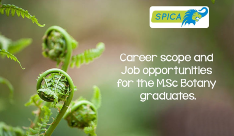 M.Sc Botany graduates ~ Job offers!!!
