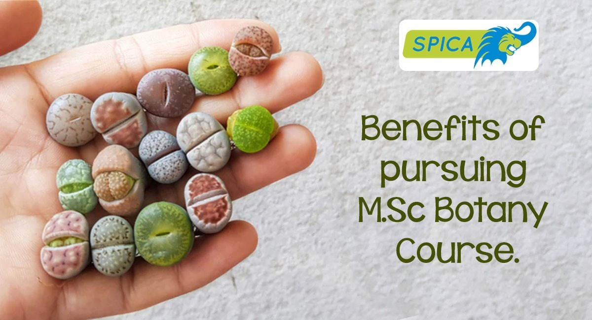 Benefits of pursuing M.Sc Botany.