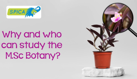 Who can study the M.Sc Botany ~ Why?