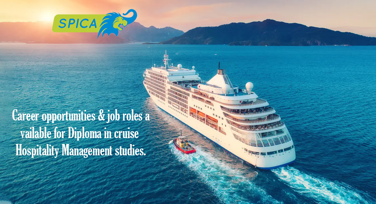 Career offers in Diploma in cruise Hospitality Management.