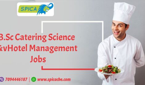B.Sc Catering Science and Hotel Management Jobs - How To Get