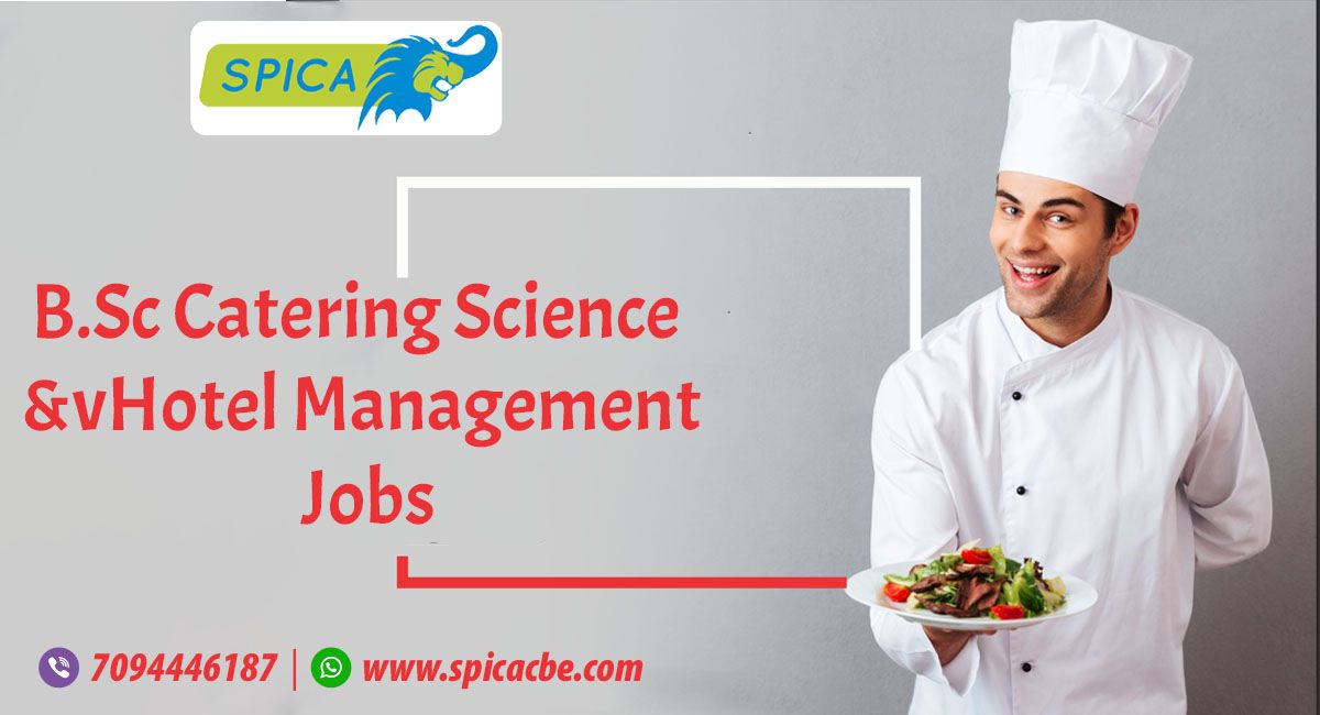 B.Sc Catering Science and Hotel Management Jobs - How To Get