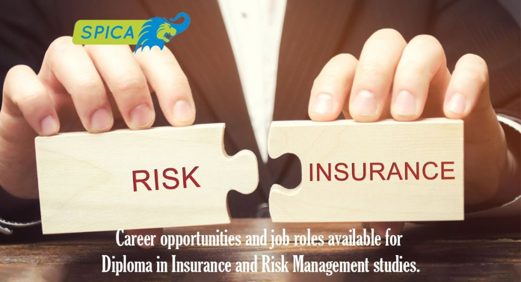 Career Offers in Diploma in Insurance and Risk Management.