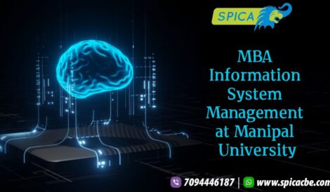 MBA Information System Management at Manipal University