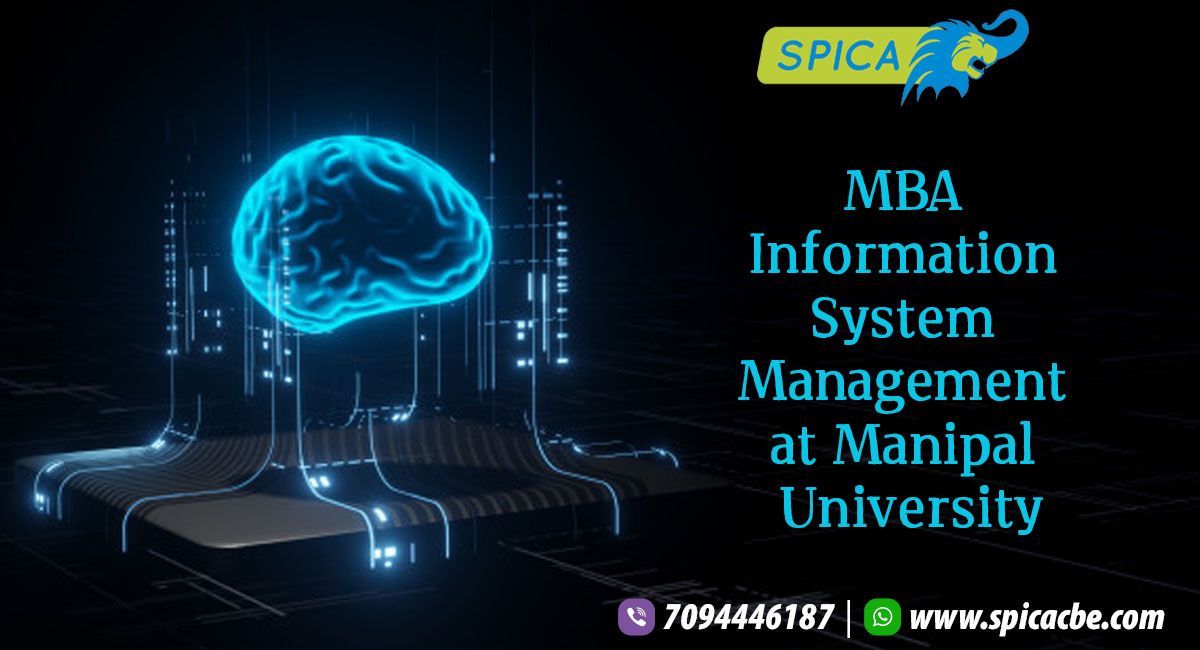 MBA Information System Management at Manipal University