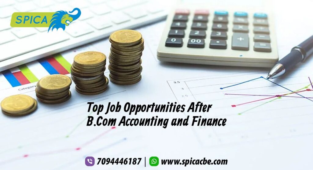Top Job Opportunities After B.Com Accounting and Finance 