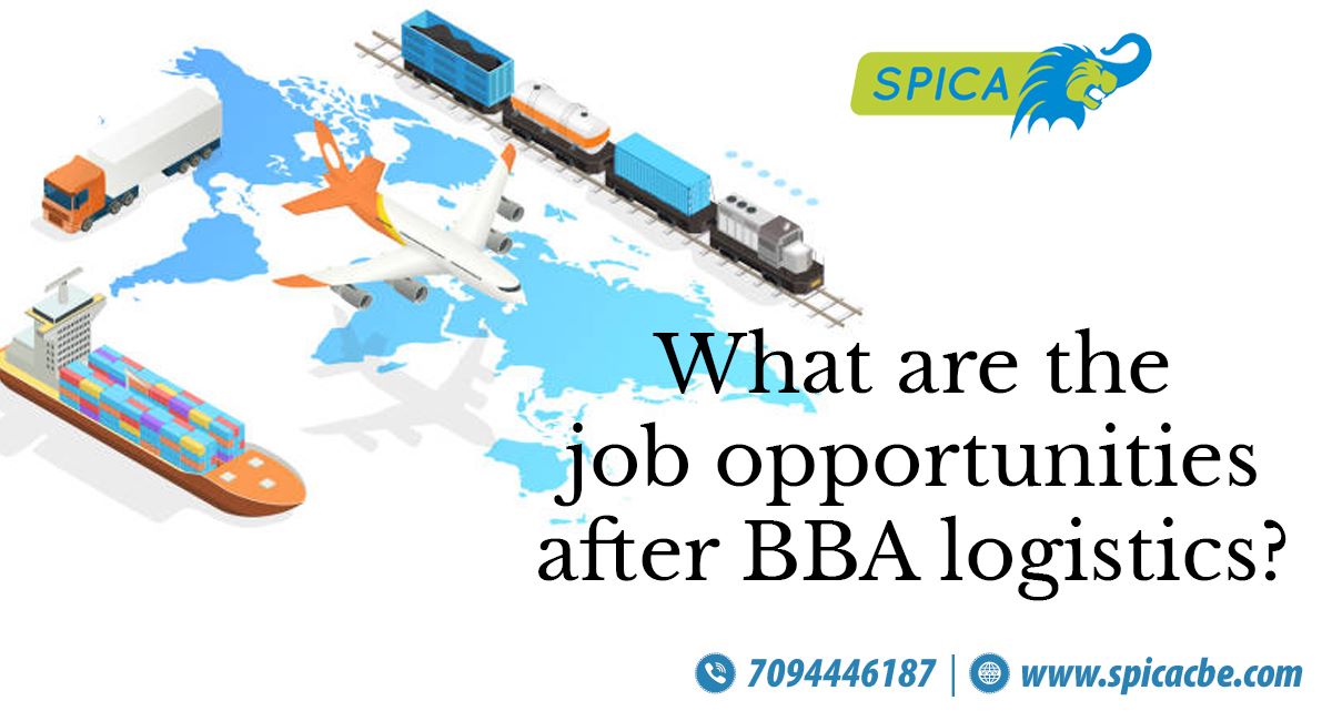 Job Opportunities After BBA Logistics