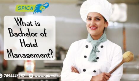 What is a Bachelor of Hotel Management?