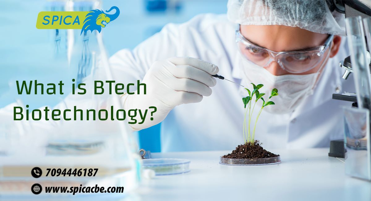What is Btech Biotechnology?