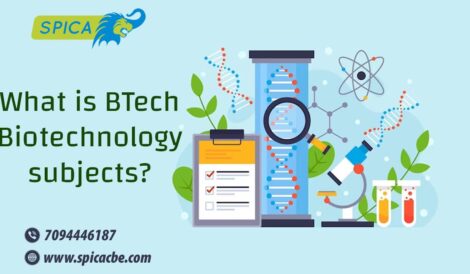 What Are BTech Biotechnology Subjects