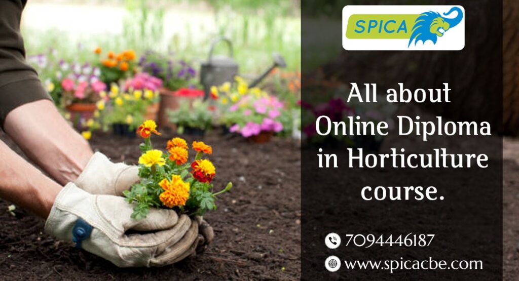 Online Diploma in Horticulture course