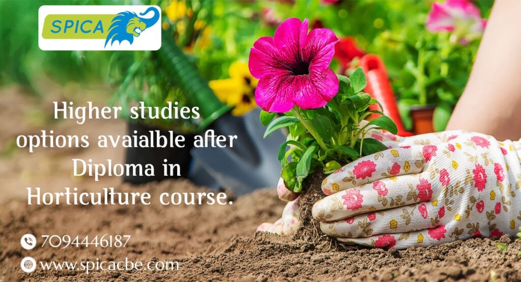 Higher study options for a Diploma in Horticulture