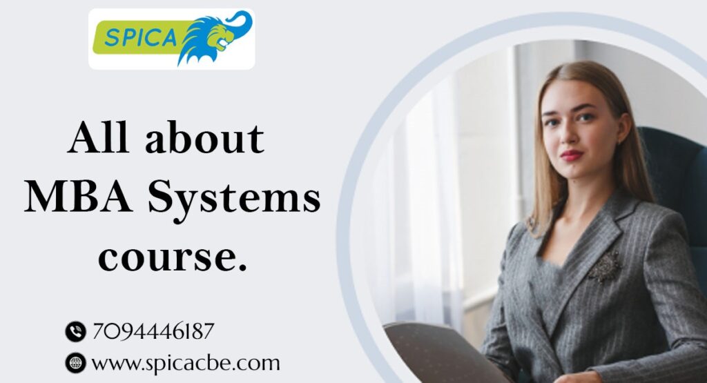 MBA Systems course