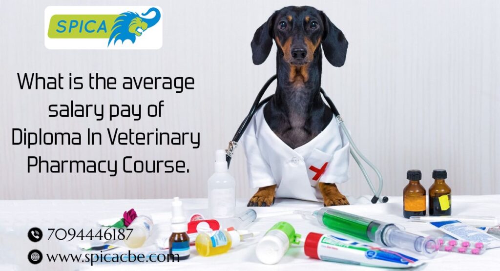 Diploma In Veterinary Pharmacy Salary