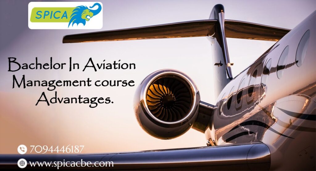 Bachelor In Aviation Management Advantages
